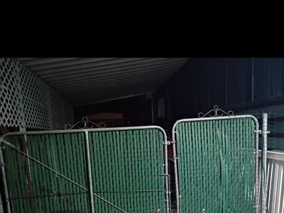 chain link gate 11'7"