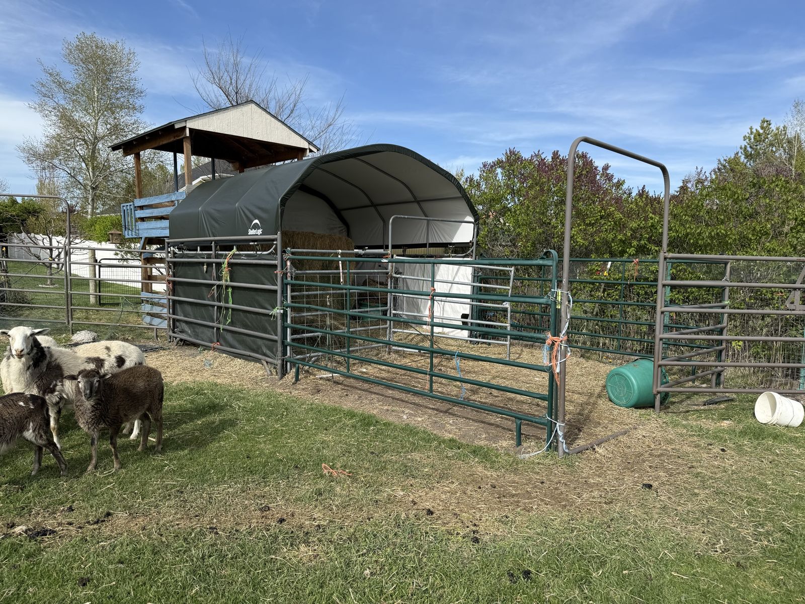 Metal livestock corral panels