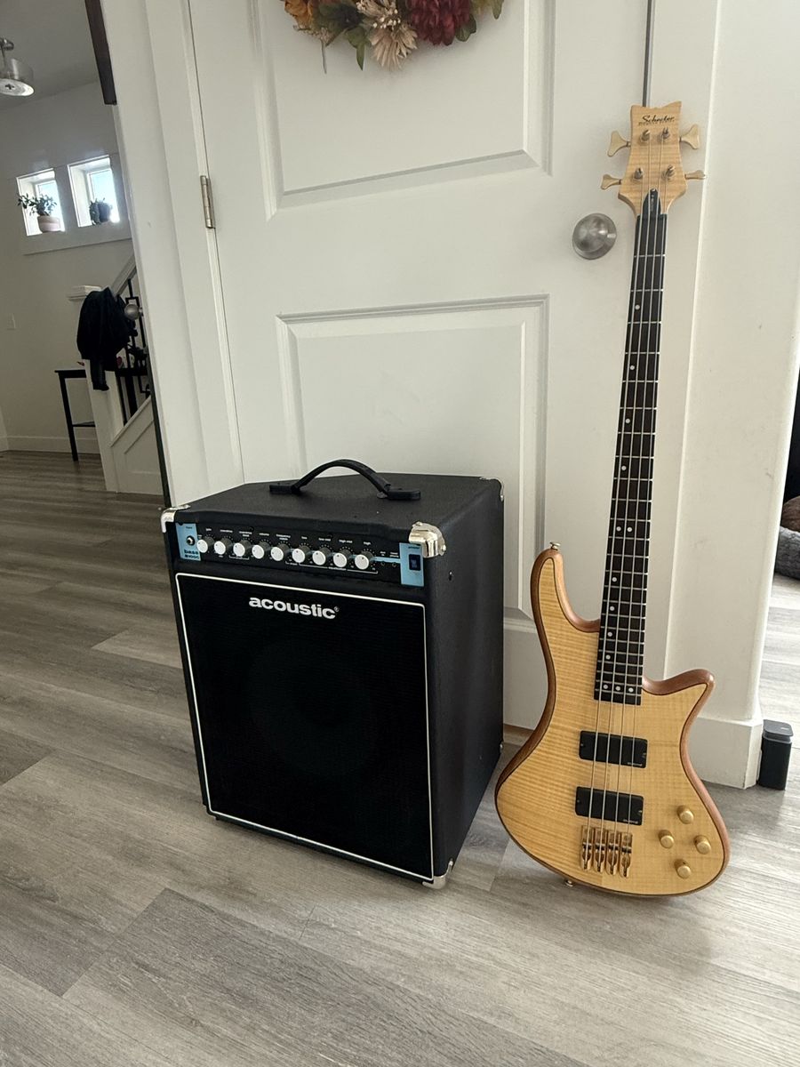 schecter Diamond series/acoustic B100c