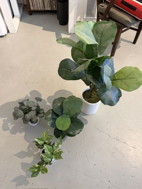 Plants! Artificial. Perfect condition.
