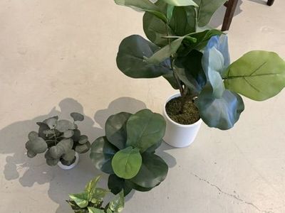 Plants! Artificial. Perfect condition.