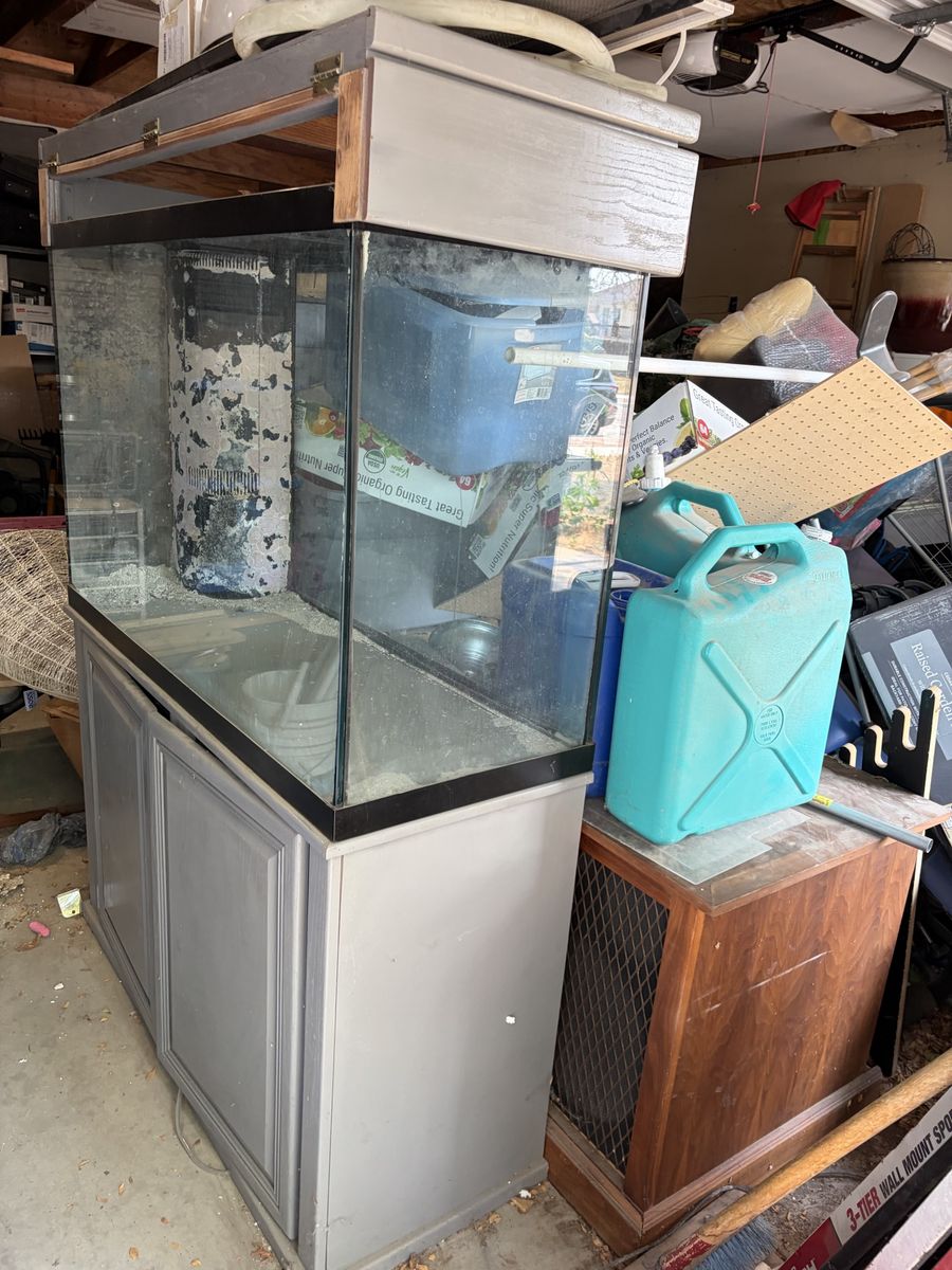 Salt water fish tank