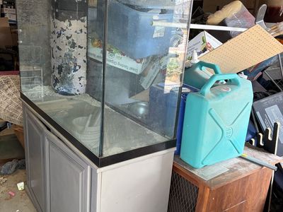 Salt water fish tank