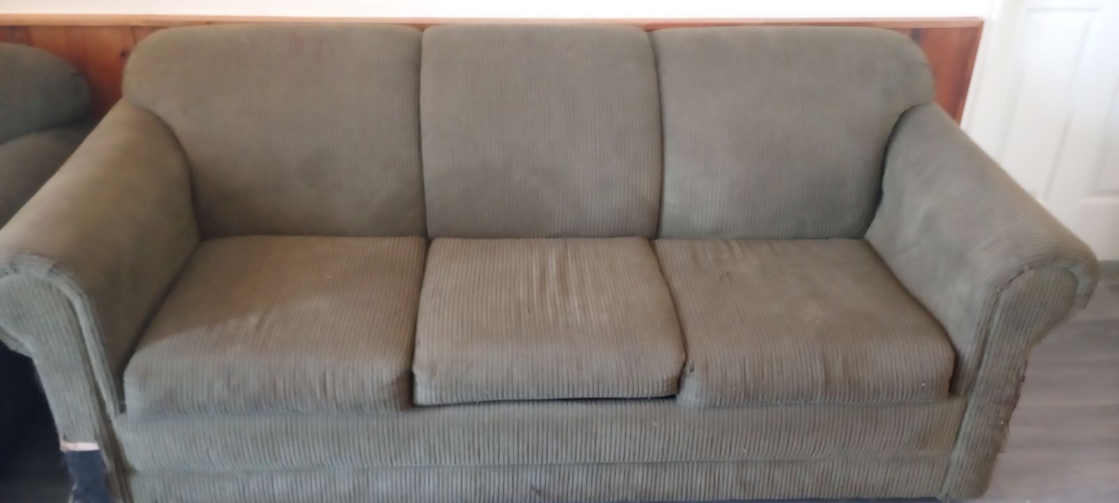 Free Sofa Bed Pullout Couch