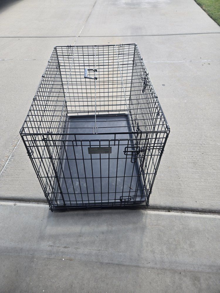 dog kennel large