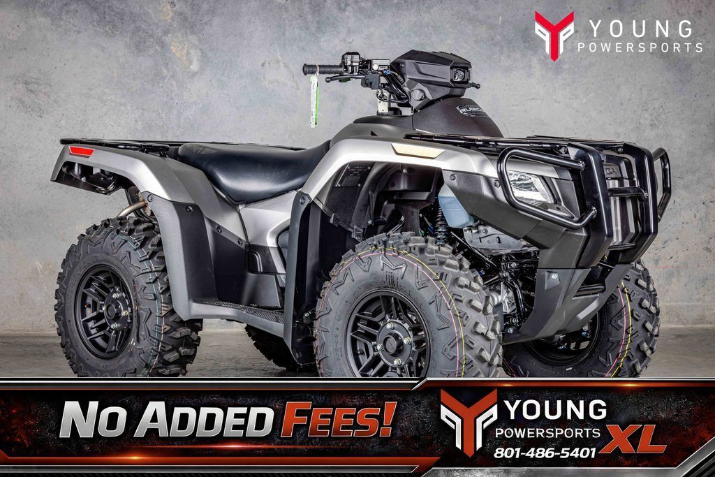 2026 Honda FourTrax Rubicon 700 4x4 Automatic Matt