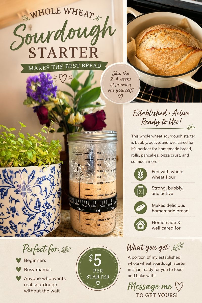 Whole Wheat Sourdough Starter