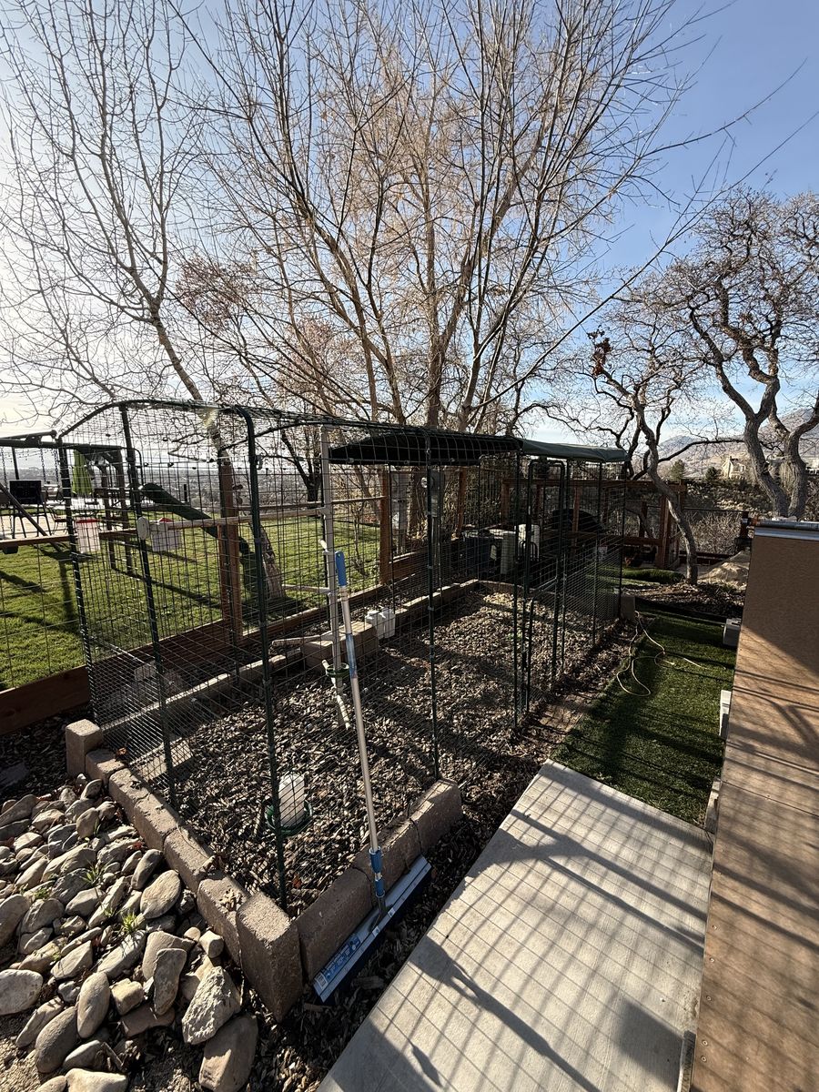 Chicken Run - Omlet 15x6x6