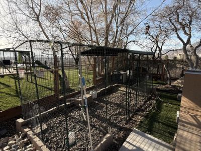 Chicken Run - Omlet 15x6x6