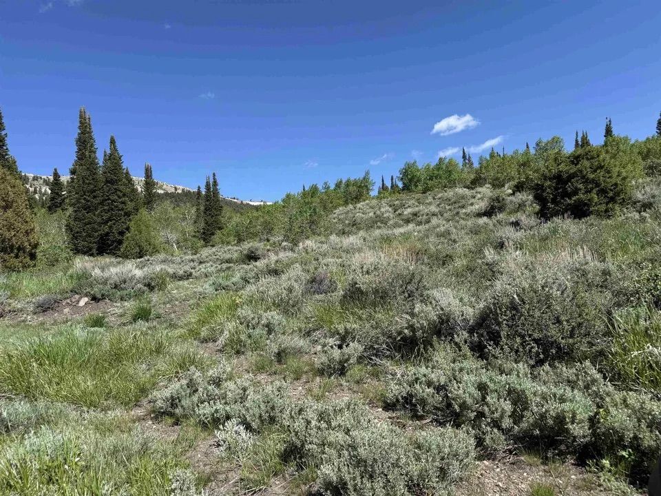 Main image 16