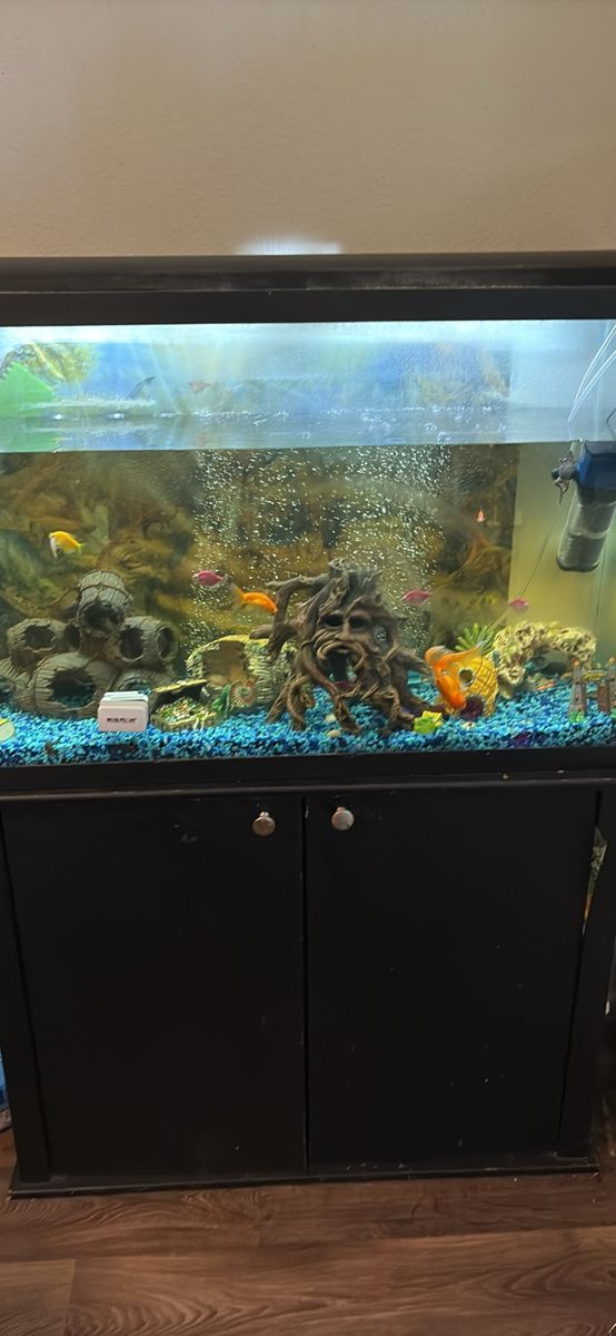 50 Gallon Aquarium