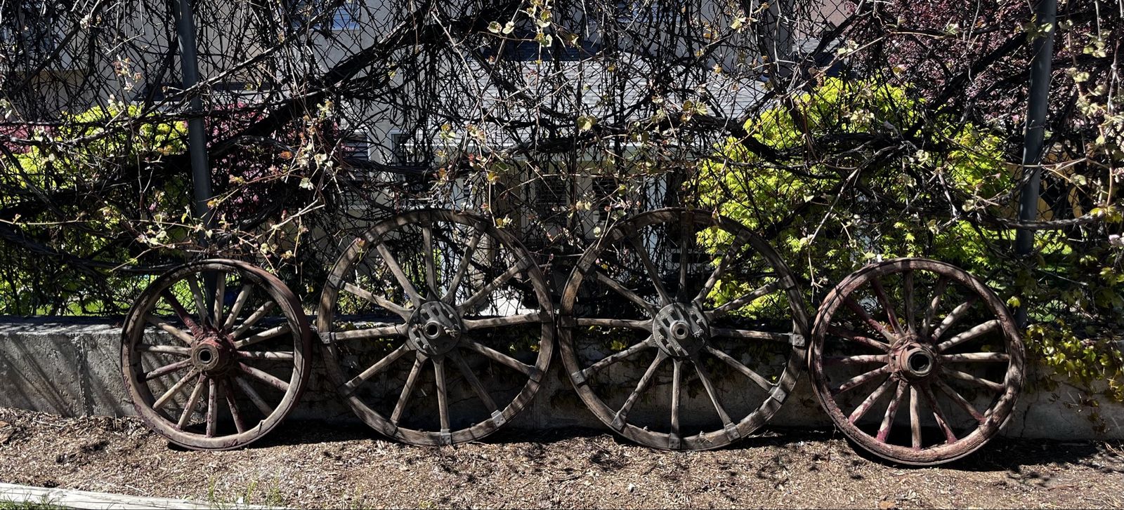 Vintage Wagon Wheels
