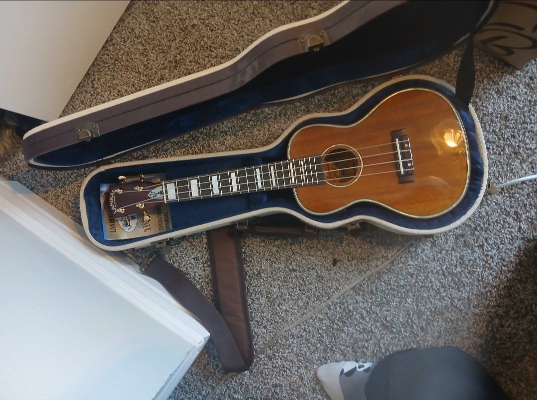Electric Ukulele and/or Case