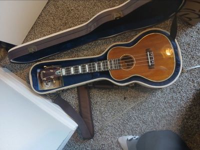 Electric Ukulele and/or Case