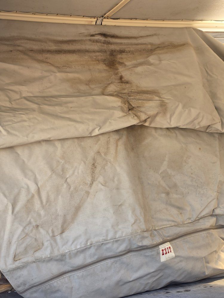 Main image 7
