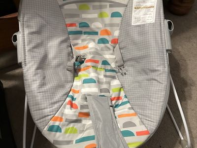 Baby Bouncer
