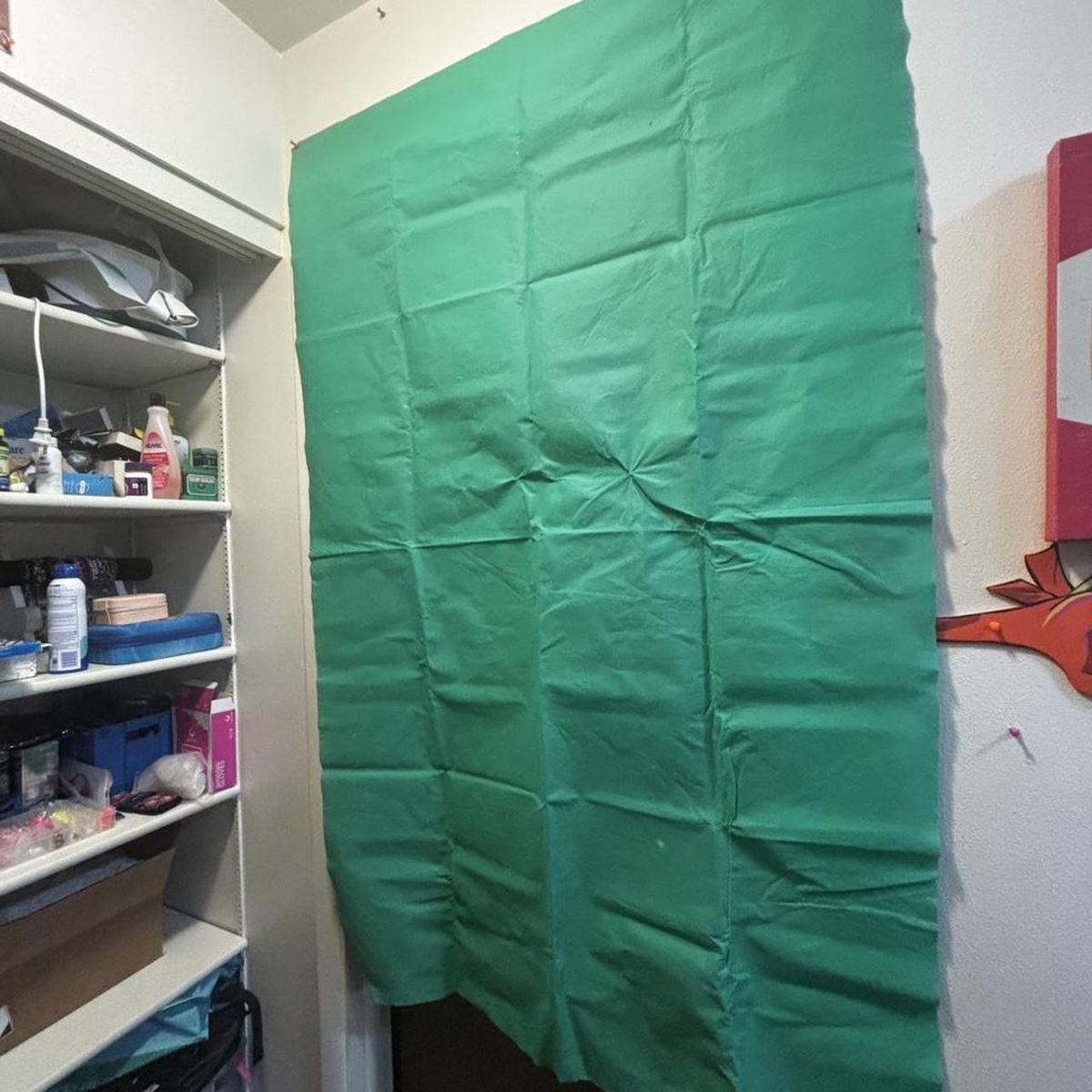 Green Screen - For Photography/Video