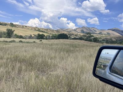 Grazing / Pasture Available for Cattle - Live Spring (Max 8 Head)