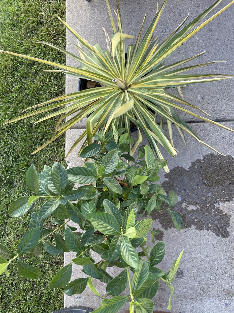 Main image 2