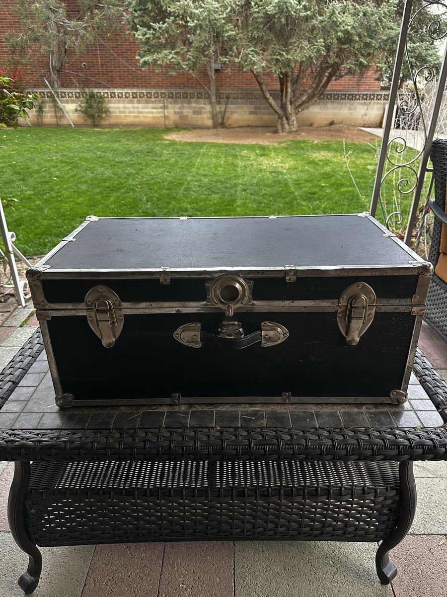 Storage Trunk / Coffee Table Chest