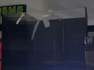 20 gallon tank