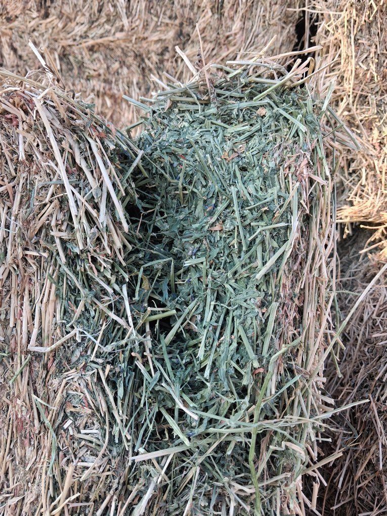 1st Crop 3x3x8 Feeder Alfalfa