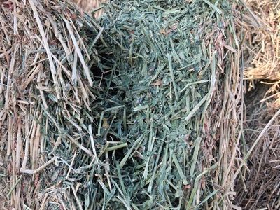 1st Crop 3x3x8 Feeder Alfalfa