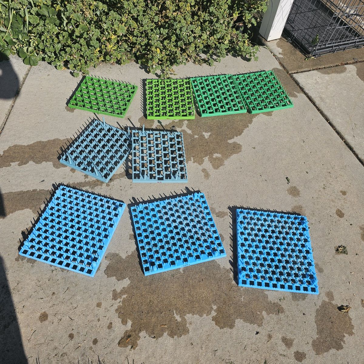 Incubator trays tray only