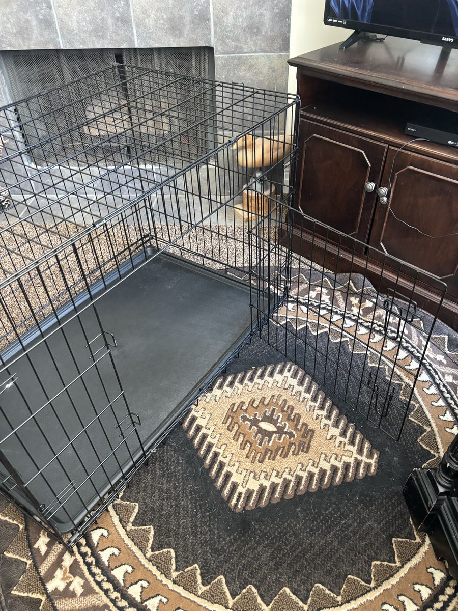 Large Black Metal Dog Crate with Removable Tray - Collapsible Pet Kennel