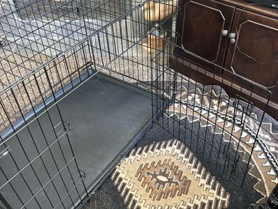 Large Black Metal Dog Crate with Removable Tray - Collapsible Pet Kennel