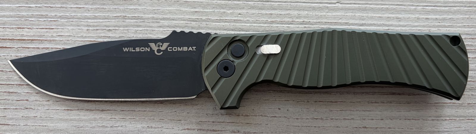 Wilson Combat Pro-Tech Eagle Automatic by Les George