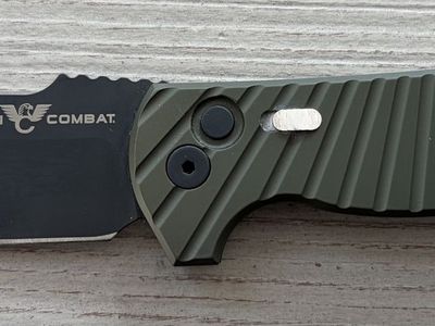 Wilson Combat Pro-Tech Eagle Automatic by Les George