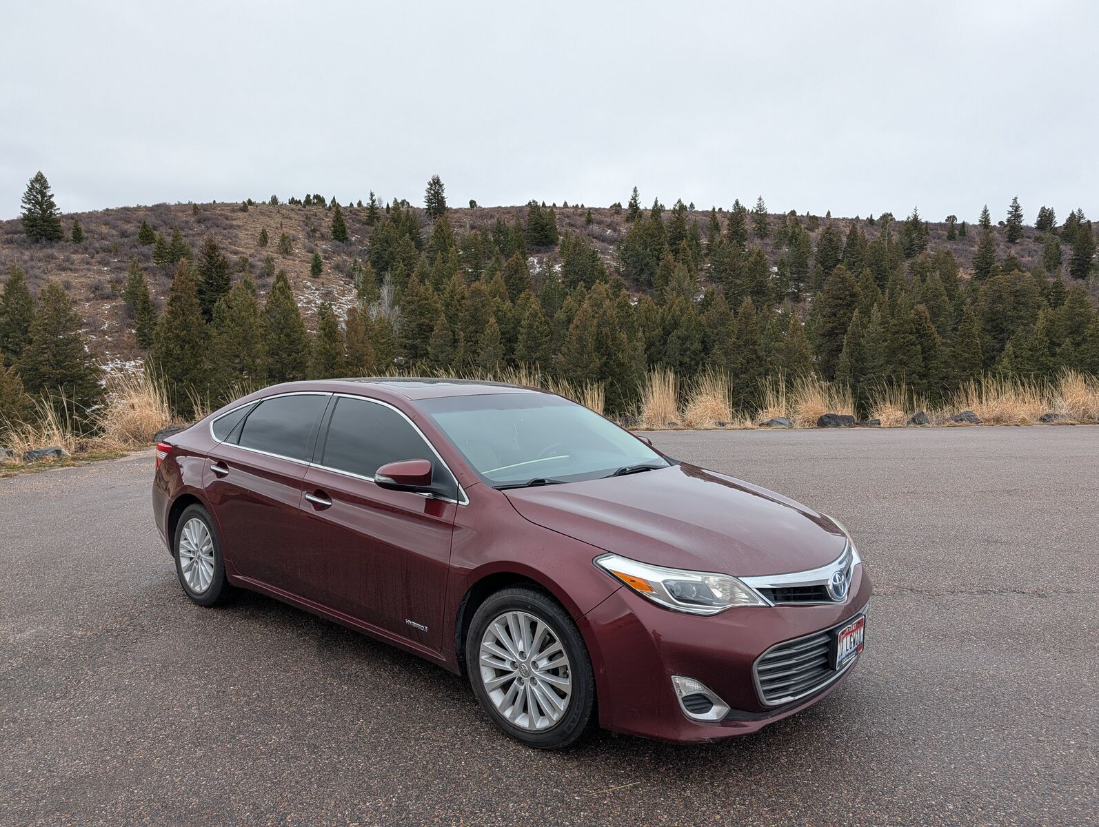2013 TOYOTA AVALON XLE Premium