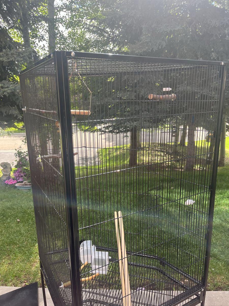 Bird cage