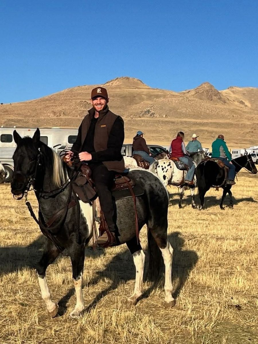 Grade paint mare 17 years