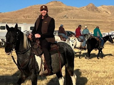 Grade paint mare 17 years