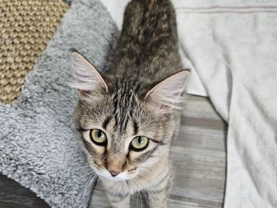 Hello my name is Mabel