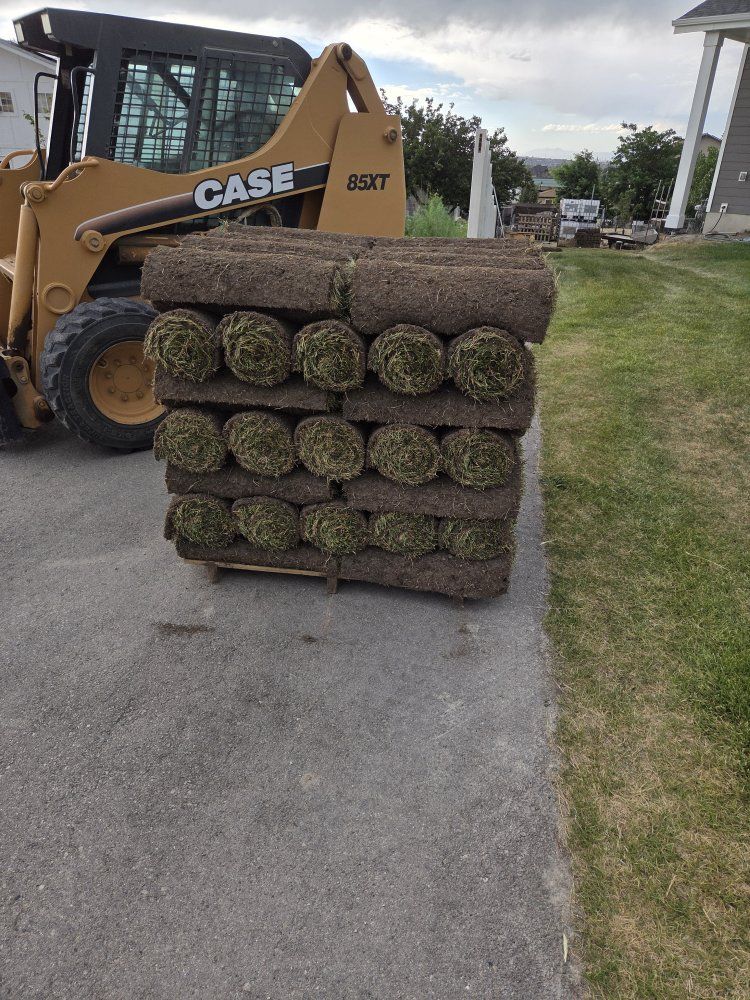 Fresh Sod Rolls - Pallet of New Green Grass for Your Lawn Kentucky Blue Grass
