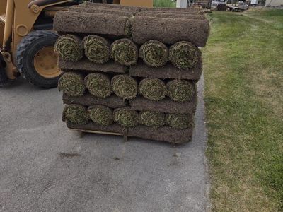 Fresh Sod Rolls - Pallet of New Green Grass for Your Lawn Kentucky Blue Grass