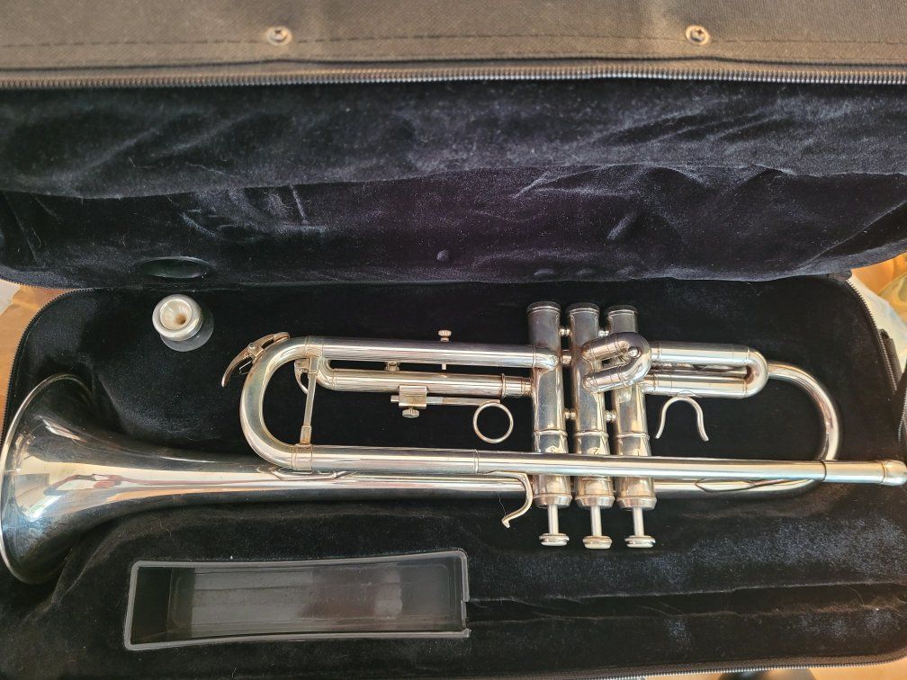 Hawk Trumpet 