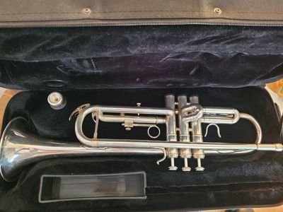 Hawk Trumpet
