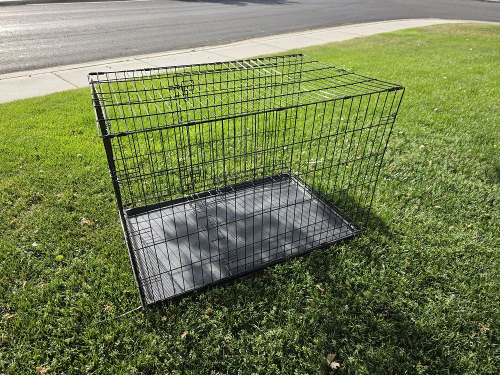 dog crates