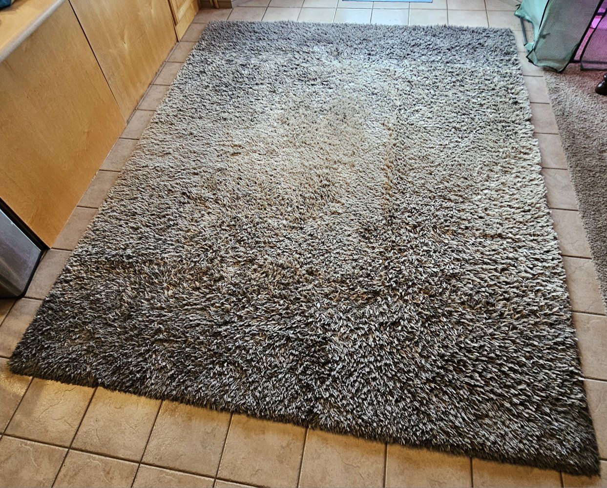 Area Rug