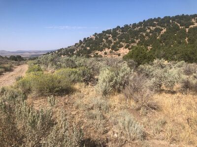 Eureka / Pre-Spring Sale / 15 Acres