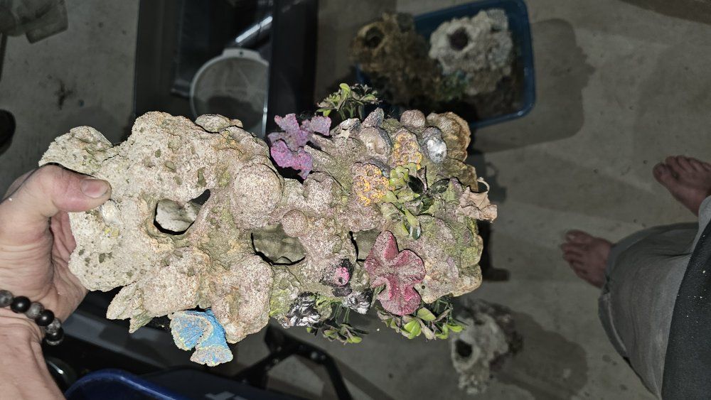Main image 41