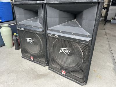 Peavey SP 2G speakers