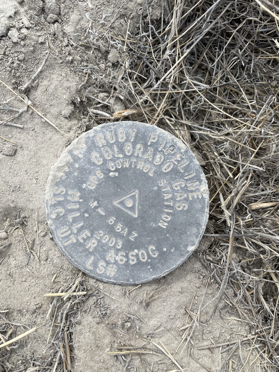 Main image 2