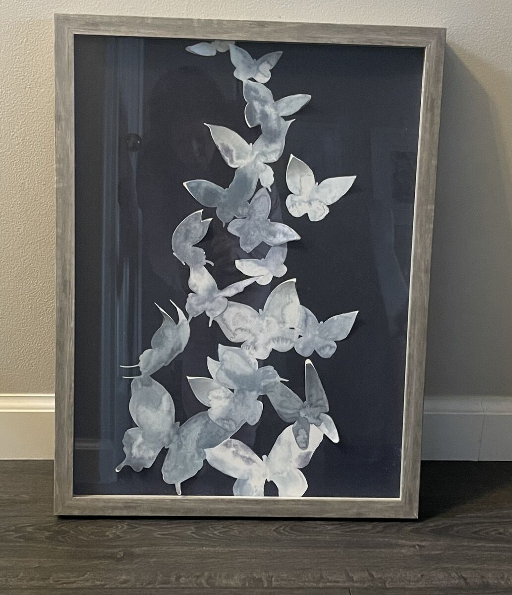 3-D Butterfly Wall Art incased in a Shadow Box Style Frame