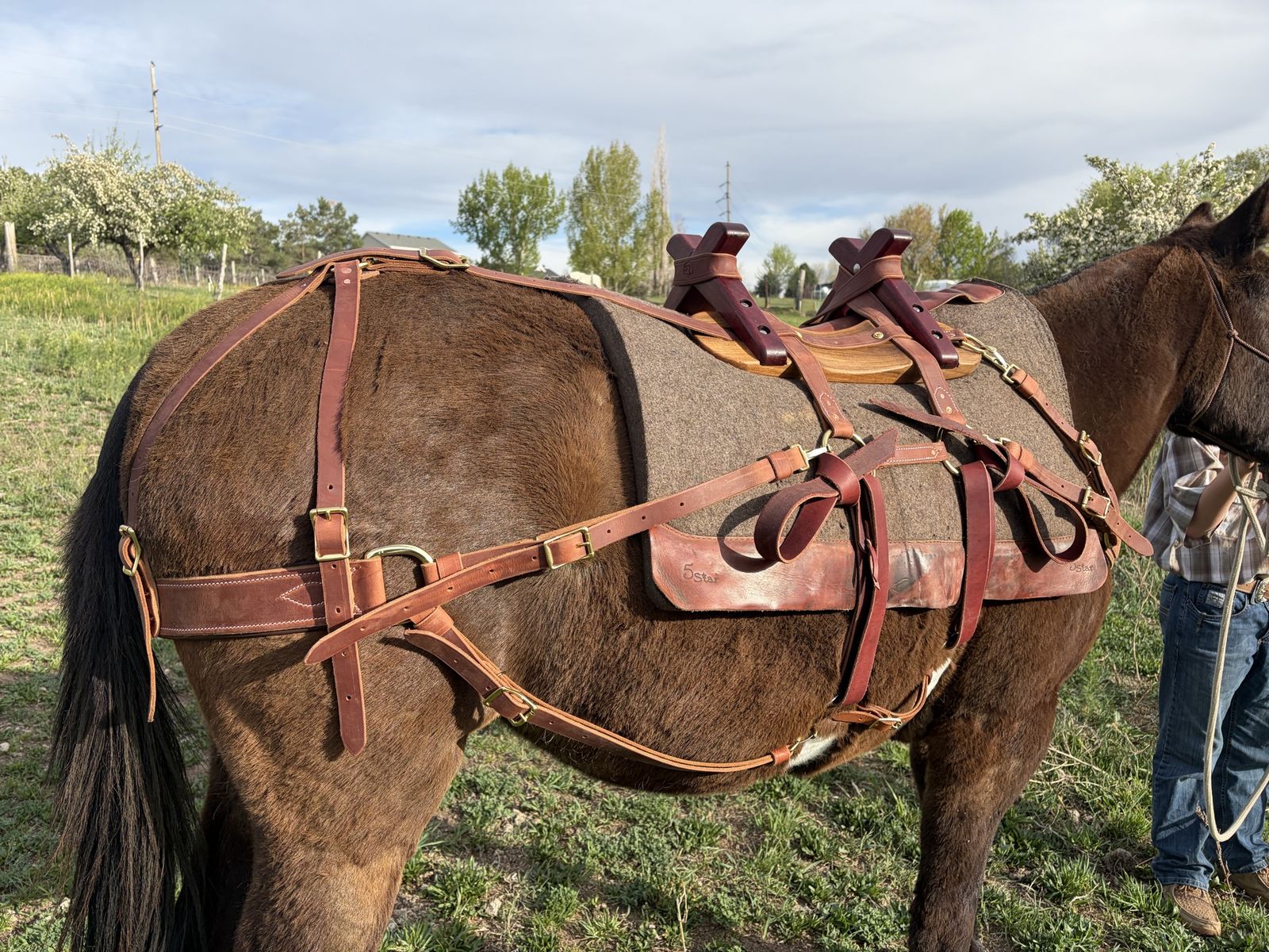 Sew buck pack saddle