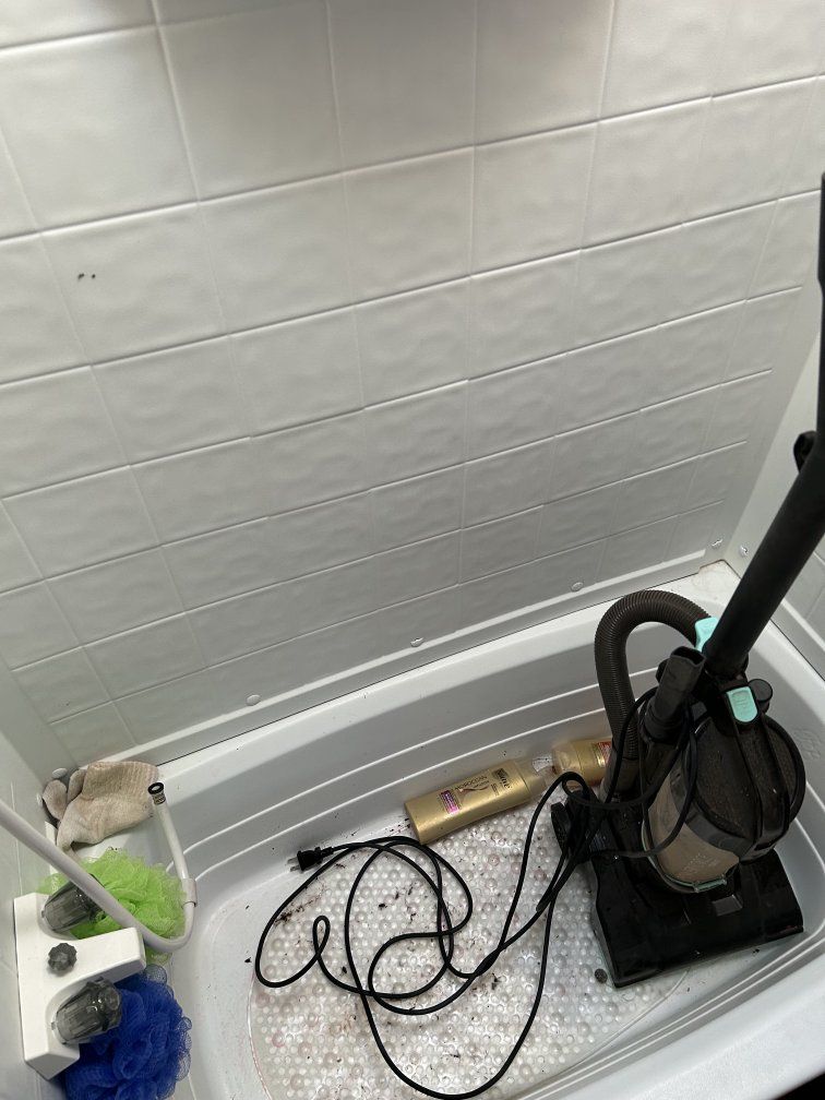 Main image 7